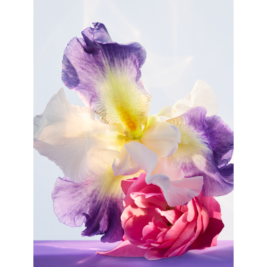 Amethyste bvlgari 2025 perfume