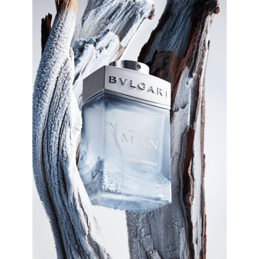 The elemental power of a woody fougere fragrance, crystallized by ice. 41194 image 3