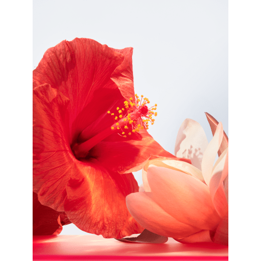 Inspired by the solar vitality of red coral, Omnia Coral Eau de Toilette brings to life the luminous energy of the vibrant gemstone in a juicy and fruity signature. 42067 image 4