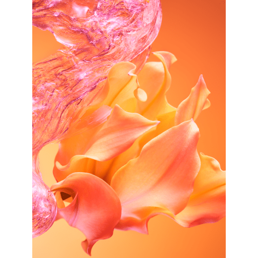 L’Eau de Parfum BULGARI ALLEGRA Passeggiata è una radiosa fragranza dalle note floreali e muschiate, che evoca la gioiosa emozione di trascorrere un momento insieme dopo una tradizionale passeggiata italiana. 41968 image 3