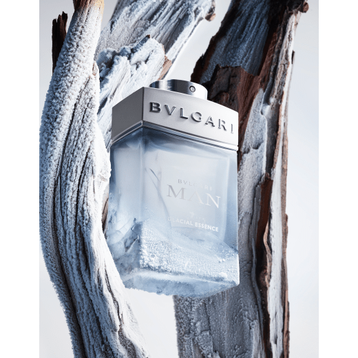 O poder elementar de uma fragrância de fougère amadeirado, cristalizado pelo gelo. 41194 image 3