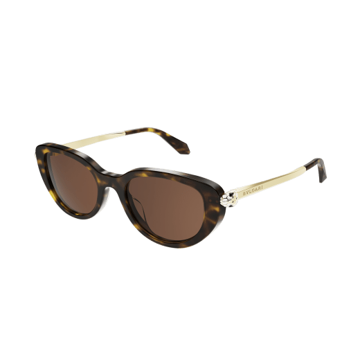 Serpenti Forever oval acetate sunglasses with enamelled snakehead embellishment 904389 image 1