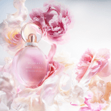 La fraîcheur des boutons de rose à l'aube, embrassée par des fleurs printanières tout juste cueillies. 41702 image 3