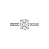 デディカータ・ア・ヴェネチア：ラウンドブリリアントカット・ダイヤモンドとパヴェダイヤモンドを配したプラチナ製「1503」リング。 343367 image 4