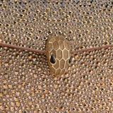Serpenti Forever 迷你斜背包,採用天然麂皮,鑲飾尺寸各異的金色漸層水晶,襯裡為黑色納帕軟面皮。迷人的金色黃銅蛇頭磁扣飾以 Diamantatura 鐫刻蛇鱗,蛇眼鑲飾黑色縞瑪瑙。 986-CDS image 5