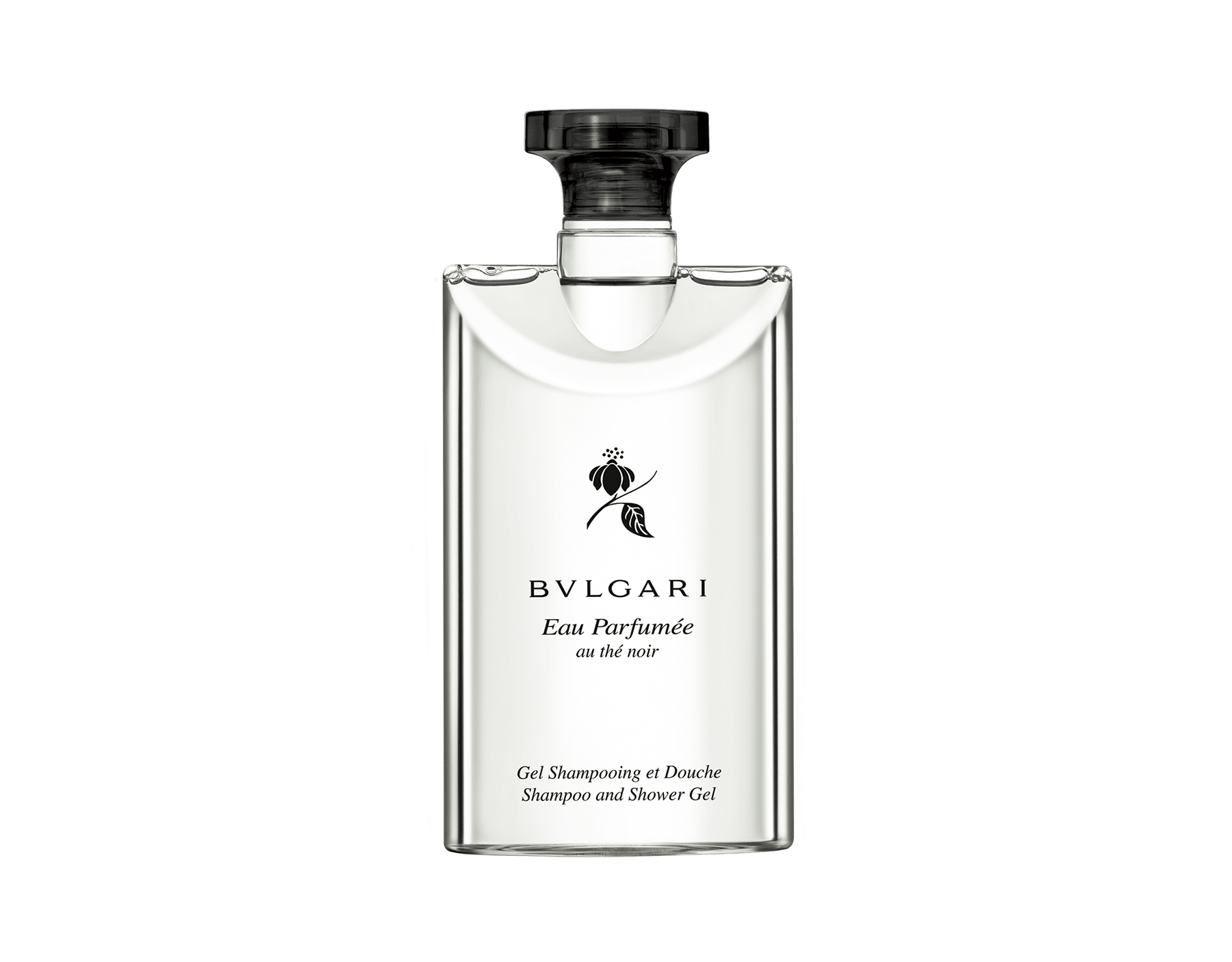 bvlgari perfume line