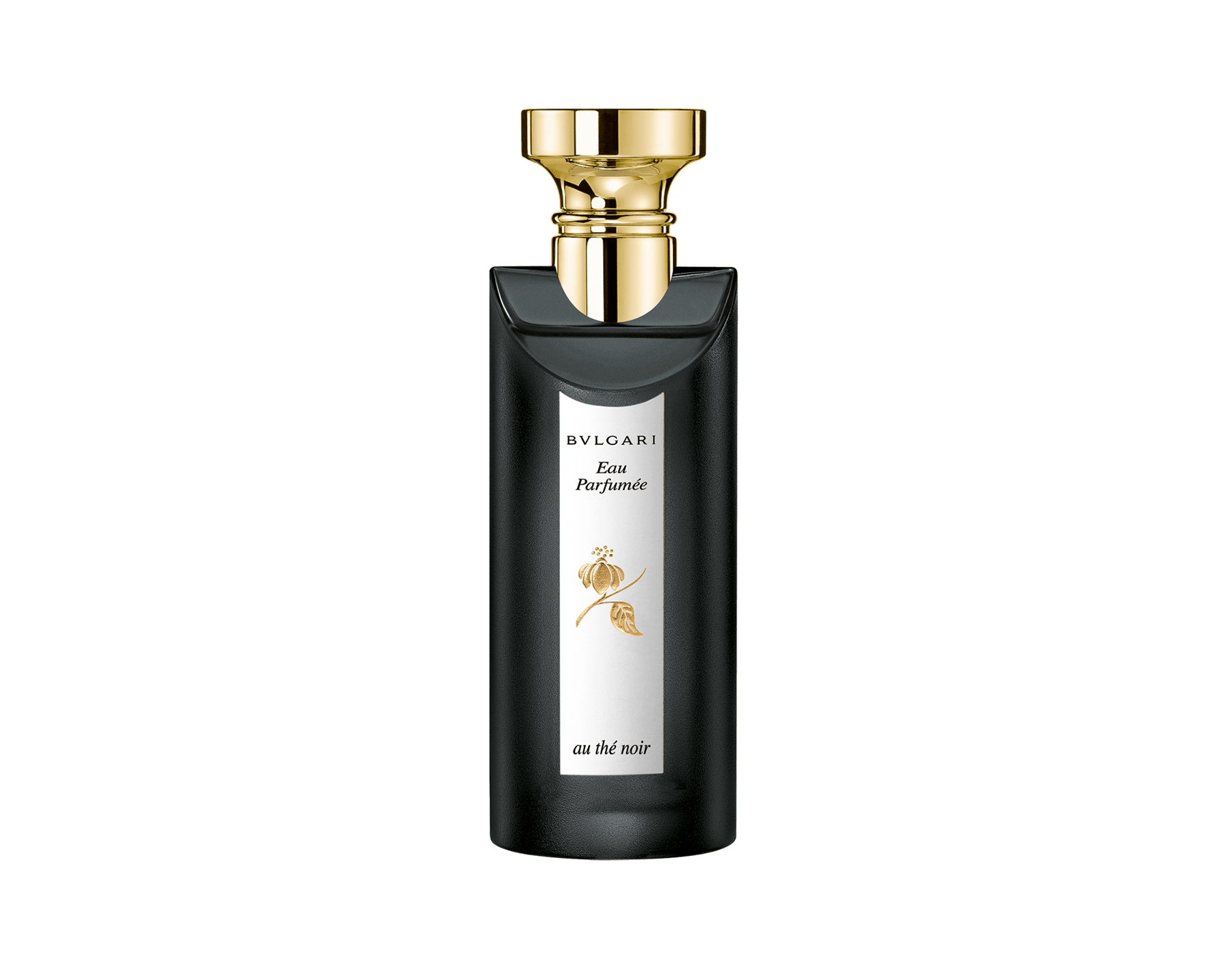 Noir Eau de Cologne Spray 2.5 oz/75 ml 