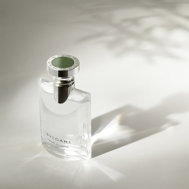 Picture representing Bulgari Pour Homme fragrance.