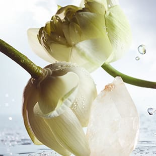 Creative shot of the olfactive ingredients of the Bulgari Man Rain essence fragrance.