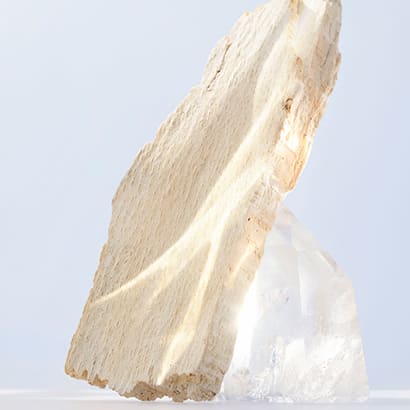 Balsa wood, the base note of the Omnia Crystalline fragrance, with crystals, creative shot.