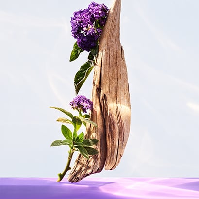 Heliotrope and solar wood, the base notes of the Omnia Amethyste fragrance, creative shot.
