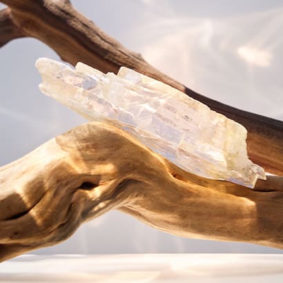 Musks and sandalwood, dry down notes of Omnia Crystalline Eau De Parfum, creative shot.
